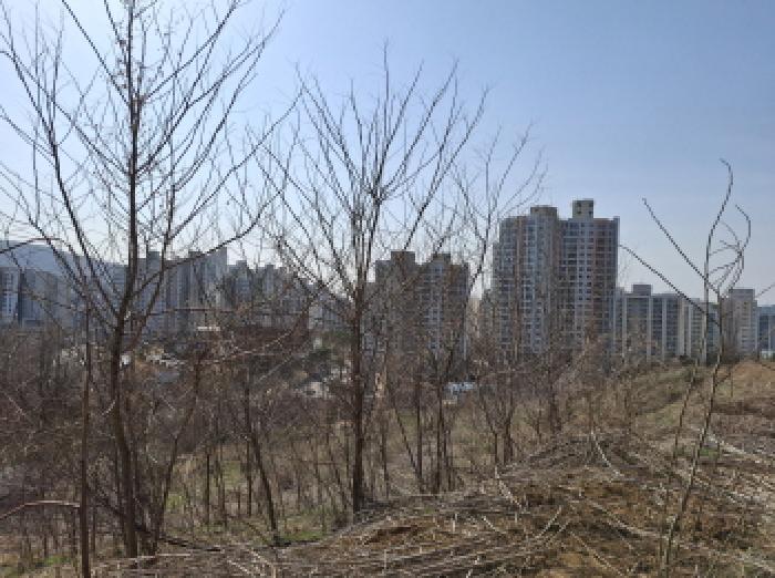 물건 사진 104