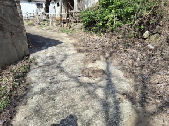 물건 사진 109