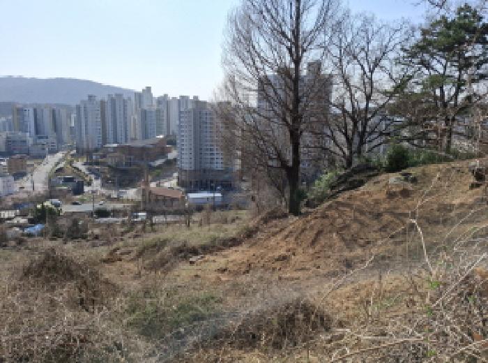 물건 사진 110