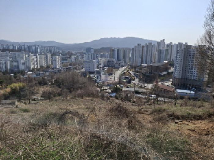 물건 사진 111