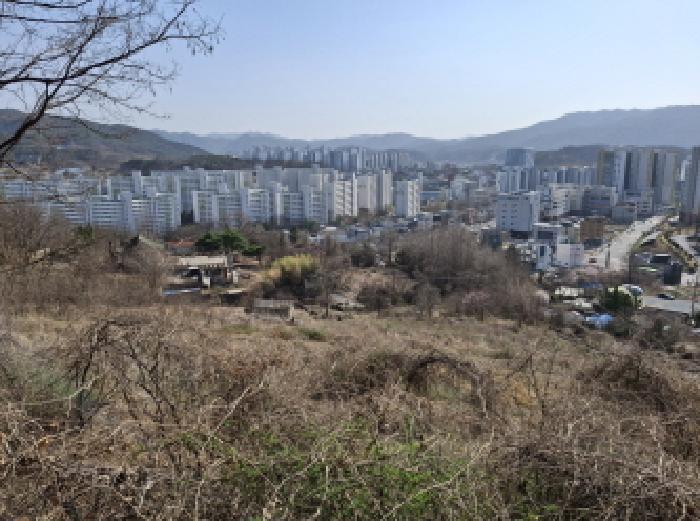물건 사진 112