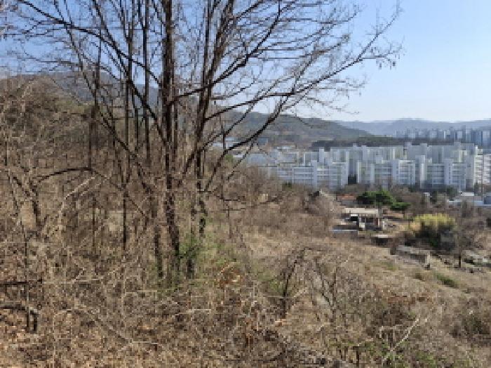 물건 사진 113