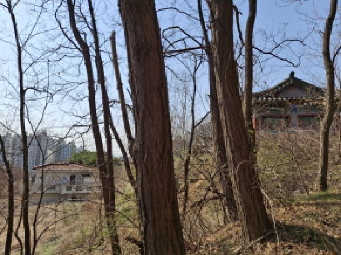 물건 사진 14