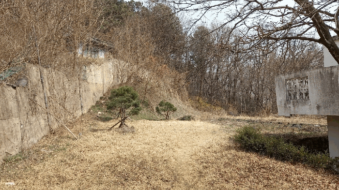 물건 사진 134