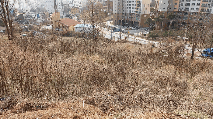 물건 사진 137
