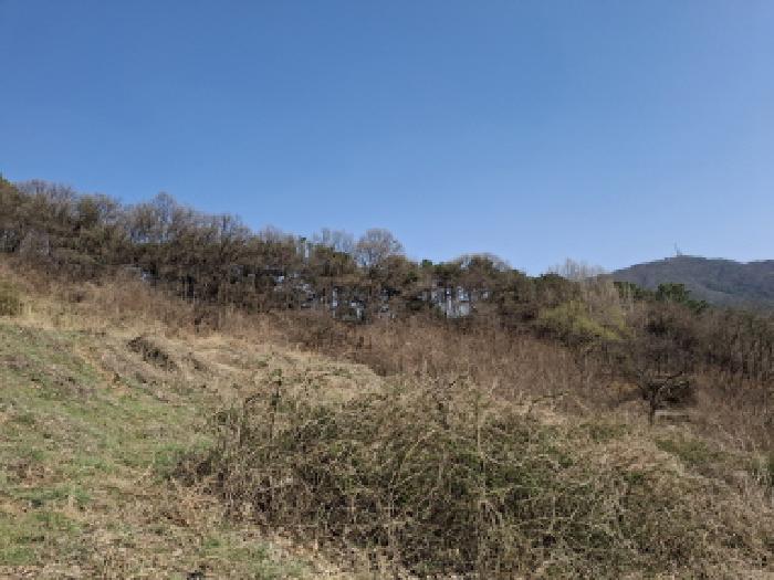 물건 사진 23