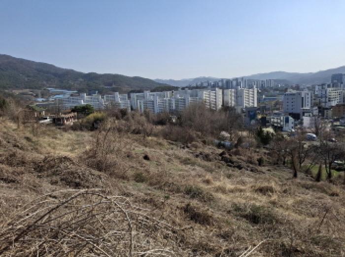 물건 사진 41