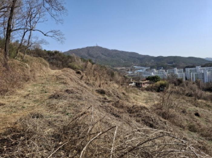 물건 사진 42