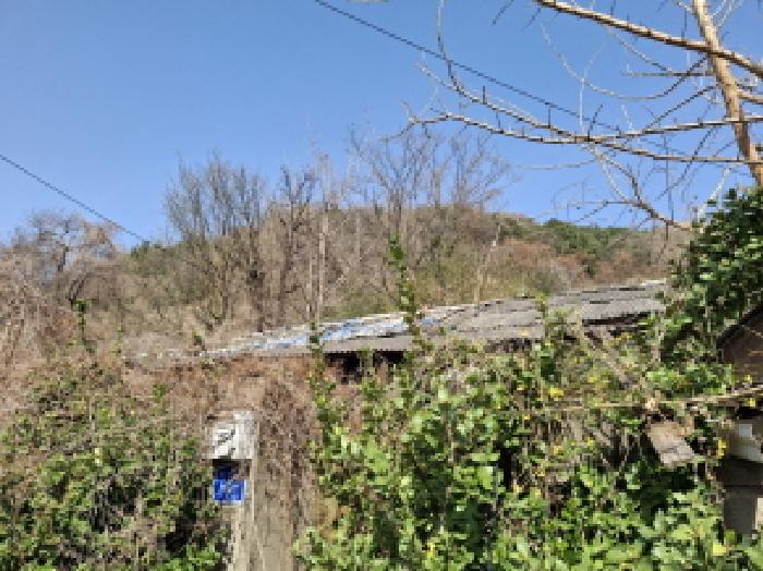 물건 사진 85