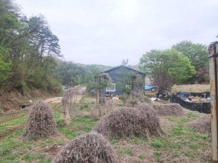 물건 사진 3