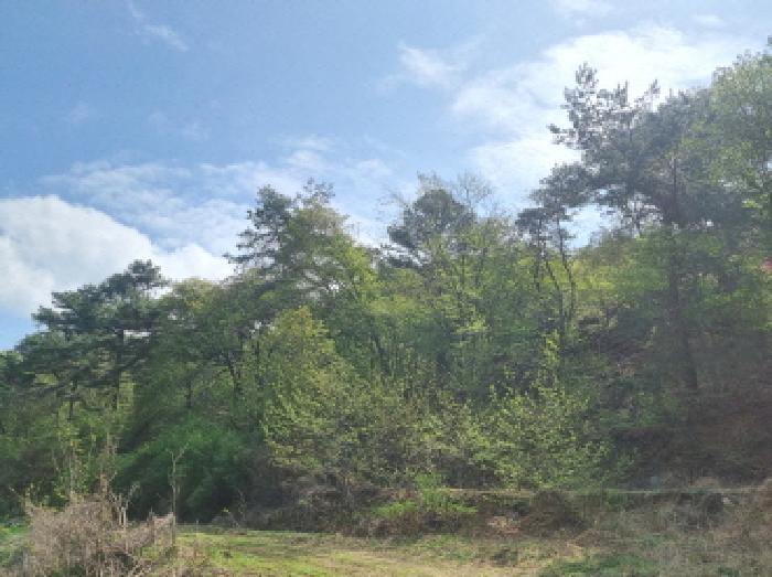 물건 사진 27
