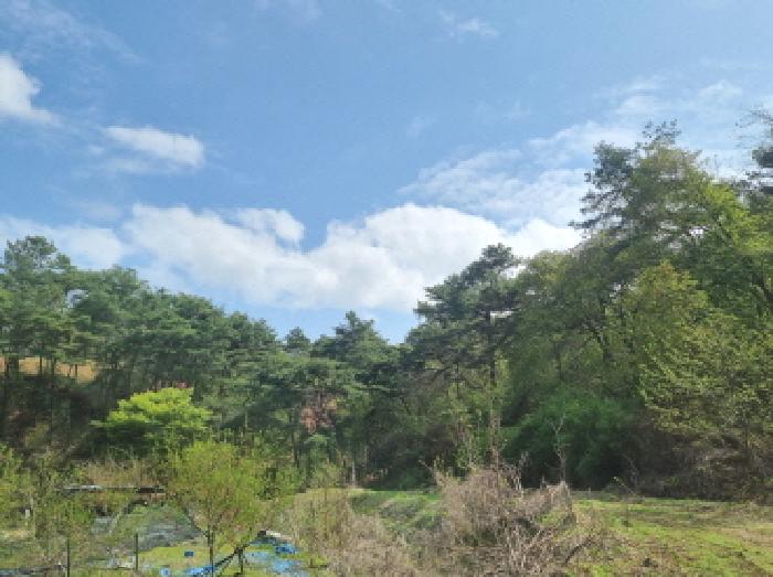 물건 사진 28