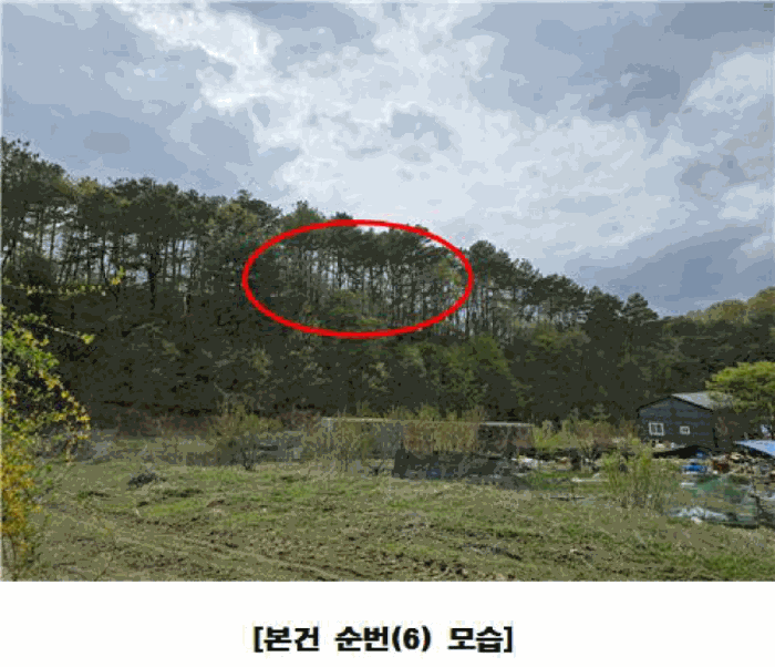 물건 사진 62