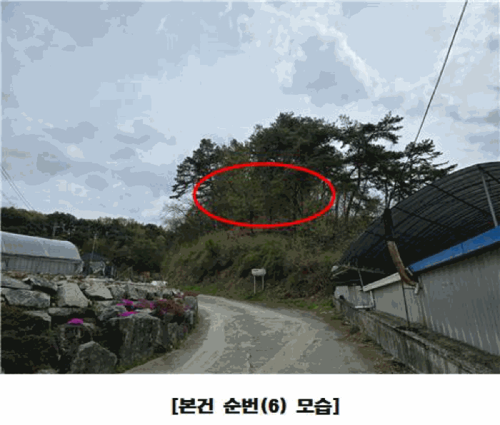 물건 사진 69