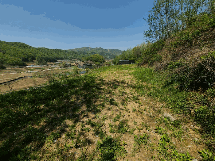 물건 사진 50