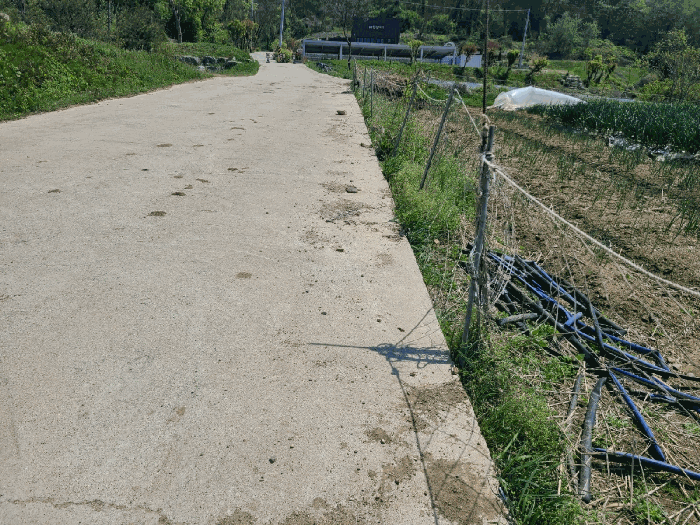 물건 사진 51