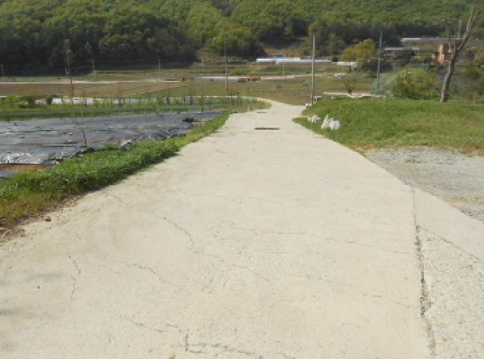 물건 사진 10