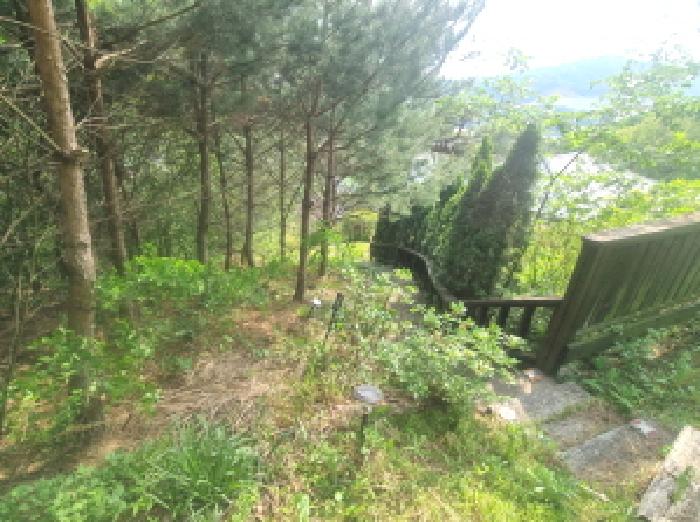 물건 사진 18