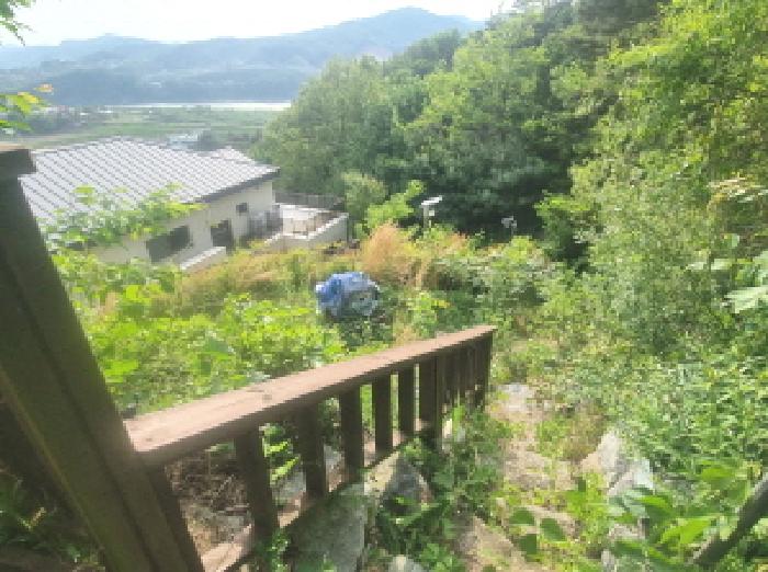 물건 사진 45