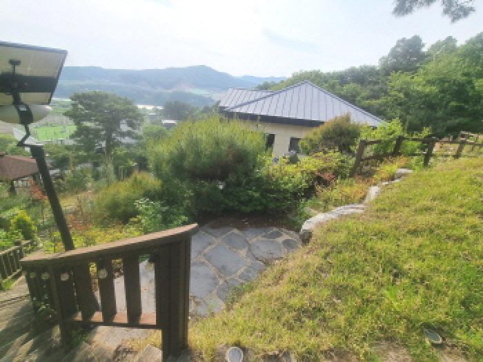 물건 사진 51