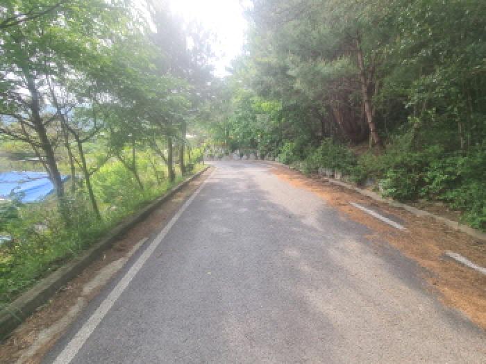 물건 사진 75