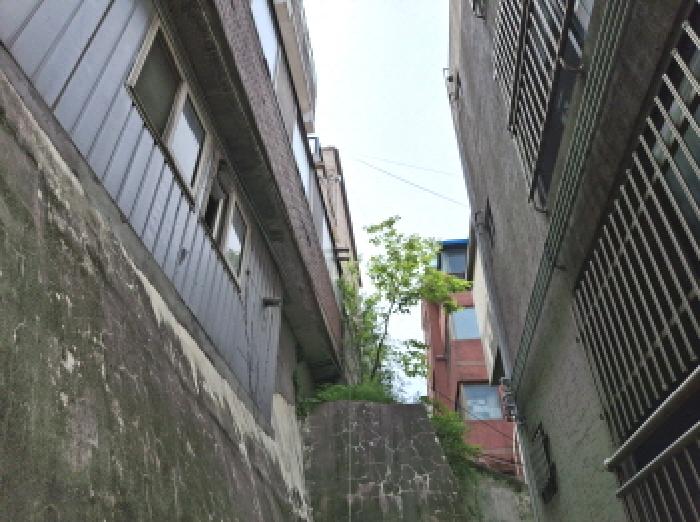 물건 사진 14