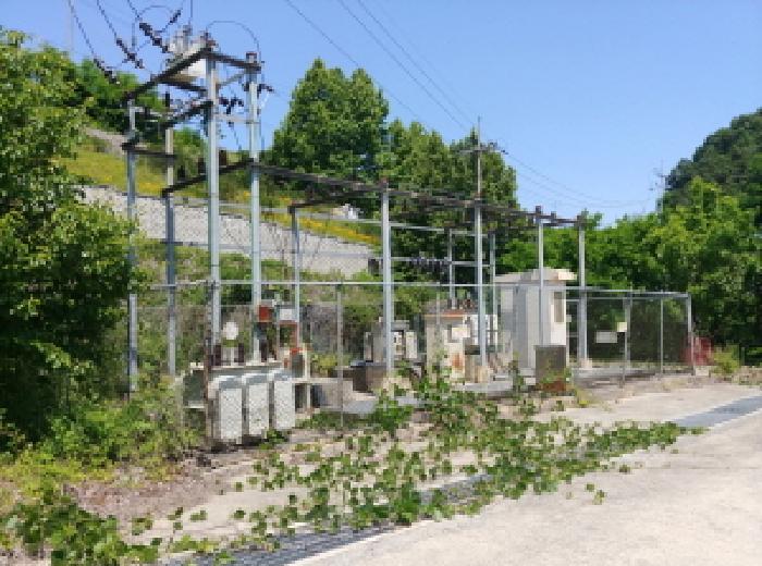 물건 사진 125