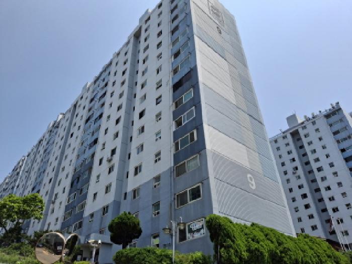 물건 사진 1