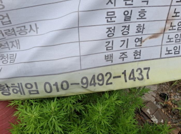 물건 사진 29