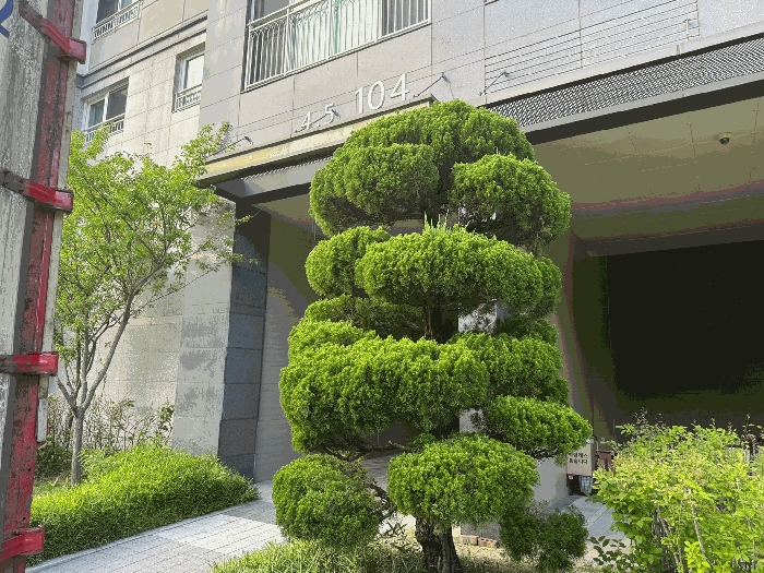 물건 사진 9