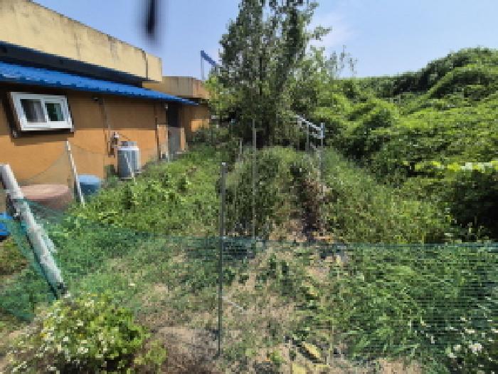 물건 사진 11