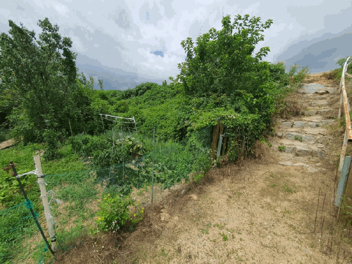 물건 사진 20