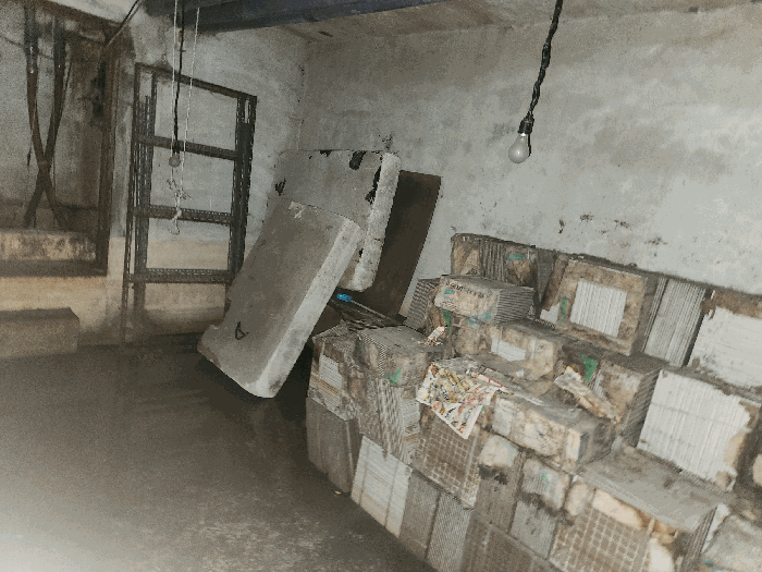 물건 사진 66