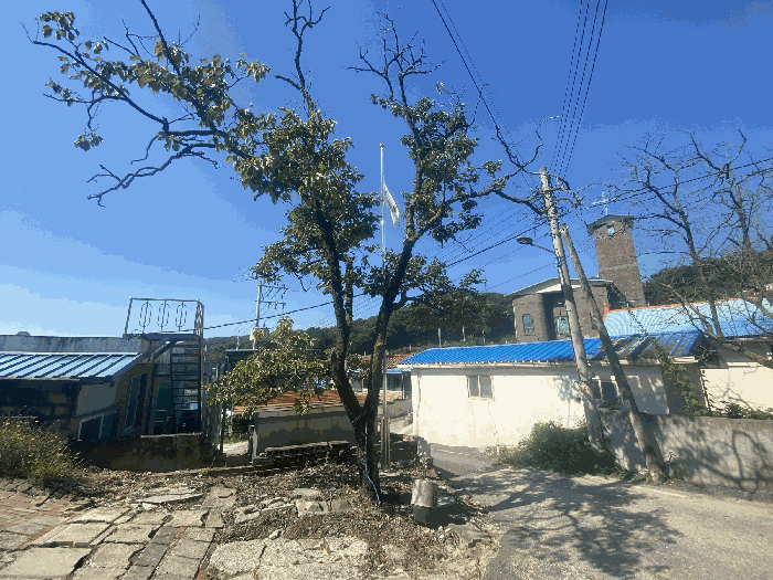 물건 사진 32