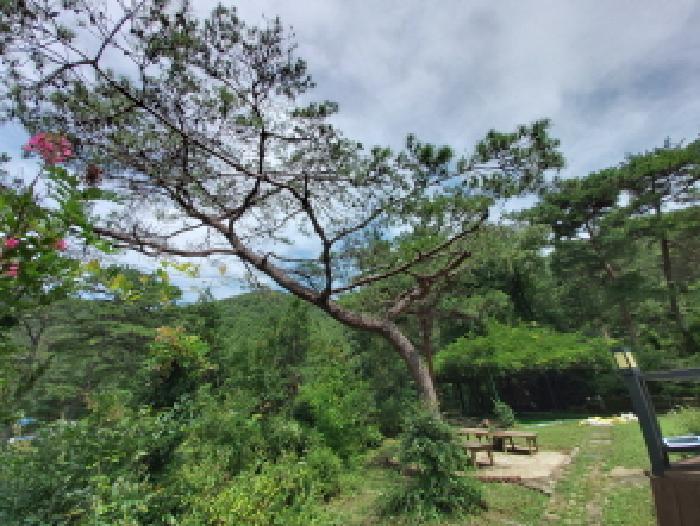 물건 사진 53