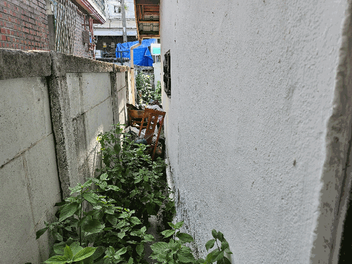 물건 사진 51