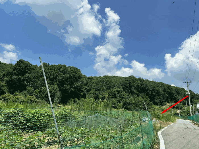 물건 사진 19
