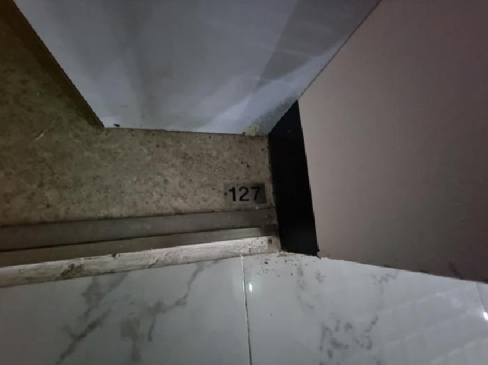 물건 사진 14