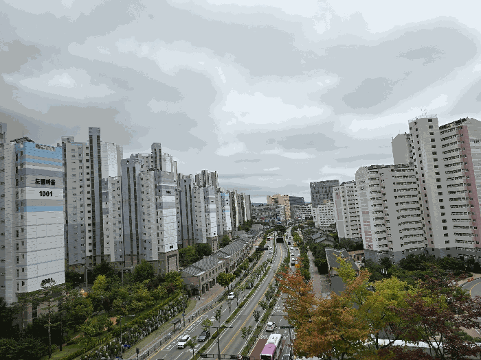 물건 사진 10