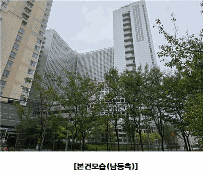 물건 사진 12