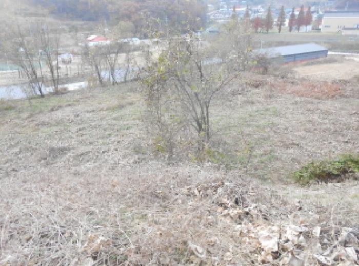 물건 사진 3