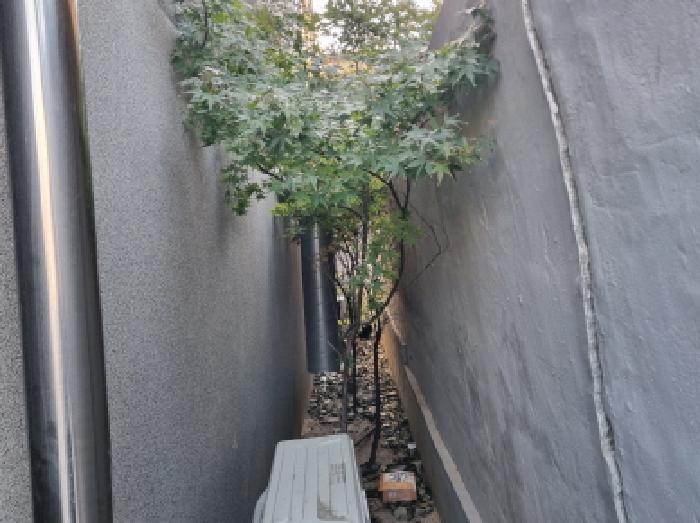 물건 사진 13