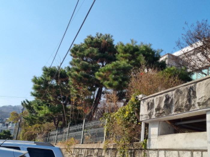 물건 사진 7