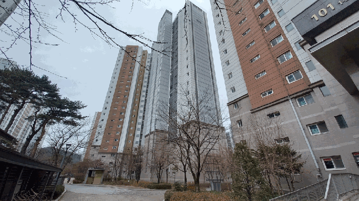 물건 사진 13