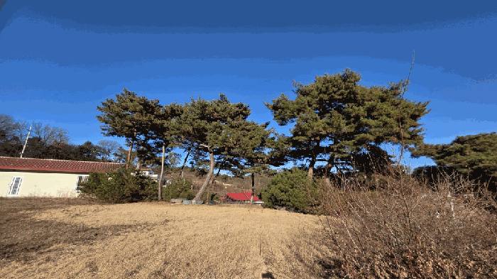 물건 사진 18