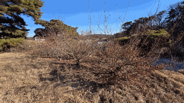 물건 사진 20