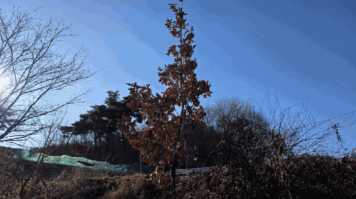 물건 사진 22