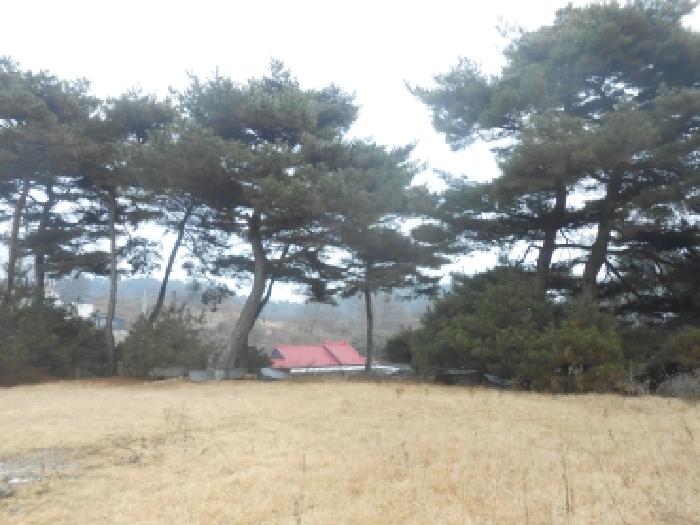 물건 사진 6