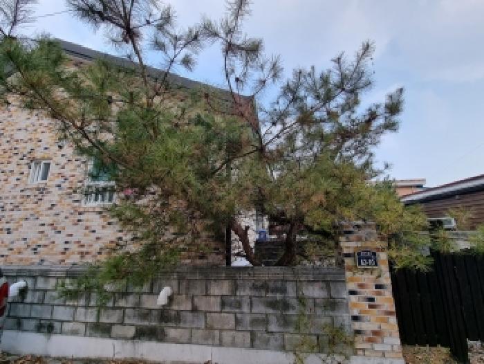 물건 사진 1