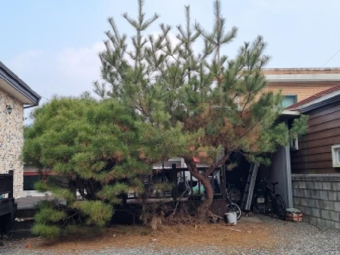 물건 사진 12